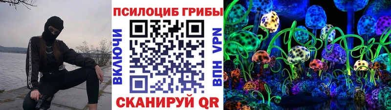 Псилоцибиновые грибы прущие грибы  продажа наркотиков  Власиха 